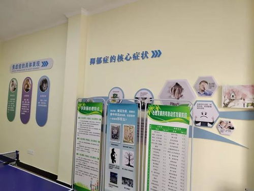 淳安构建心理健康服务网络 24个社会心理服务站与431个心理咨询室全面覆盖